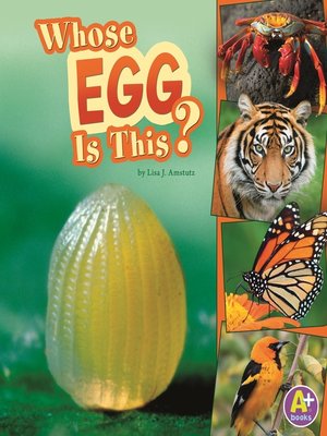 Whose Egg Is This? - ebook